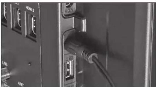 PEAQ PTV321100-B - CONNETTORI LATERALI - 2
