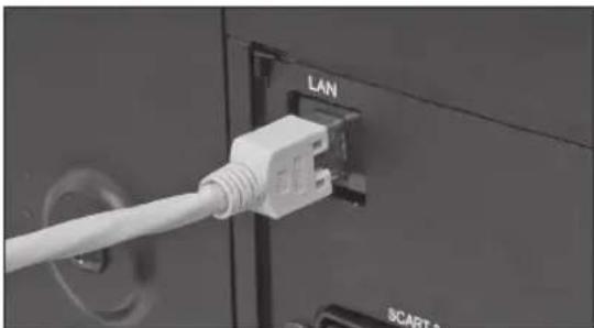 PEAQ PTV321100-B - BEDRADE NETWERK CONNECTIE - 1