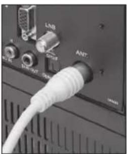 PEAQ PTV321100-B - ANTENNES - 1