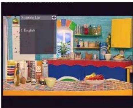 EMTEC Movie Cube S700 - Subtitle List Menu - 1
