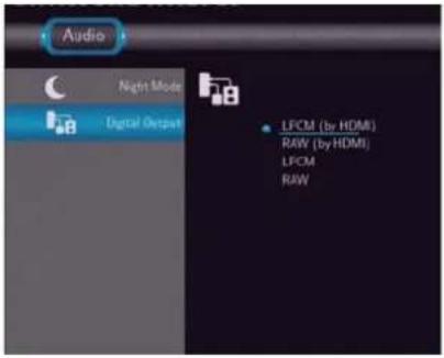 EMTEC Movie Cube S700 - Changing Audio Settings - 3