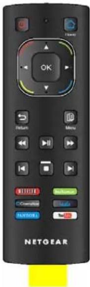 NETGEAR NeoTV NTV300 - Remote Control Batteries - 1