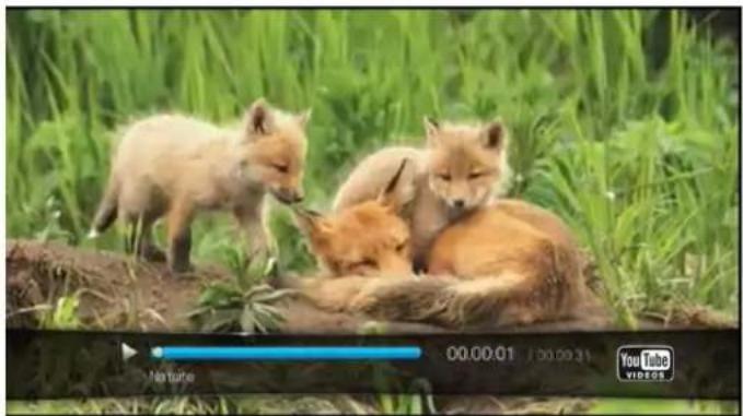 WESTERN DIGITAL TV Live - YouTube Player - 1
