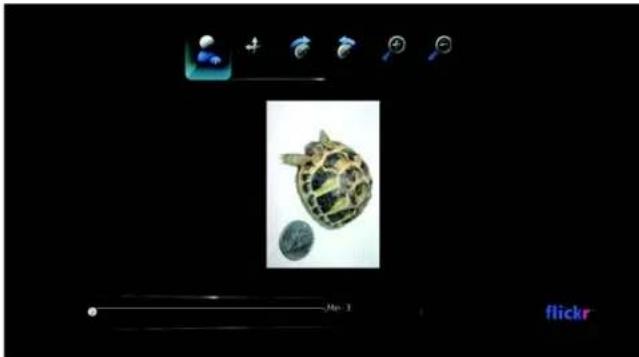 WESTERN DIGITAL TV Live - Flickr Player - 1