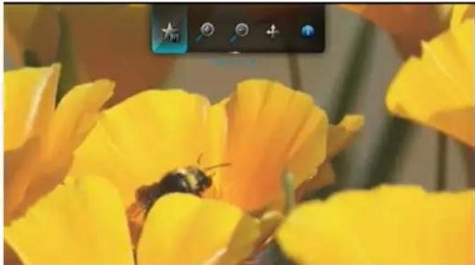 WESTERN DIGITAL TV Live - YouTube Player Options - 1