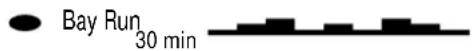 SportsArt 6300 - 7.Course Description - 1