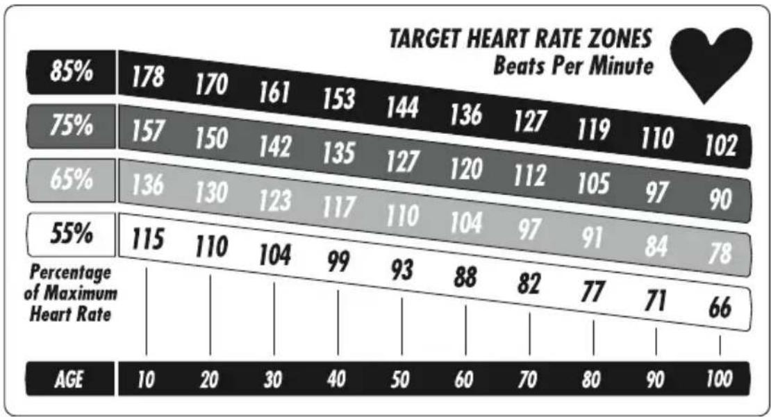 Vision Fitness T1450 - TARGET HEART RATE - 1