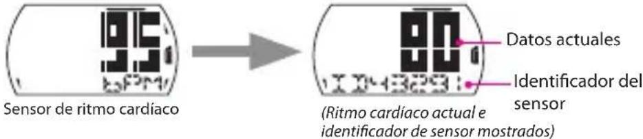 Bryton Cardio 35 - Nota: - 1