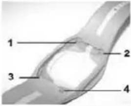 INVENTUM SH40 - Wechseln des Armbandes - 2