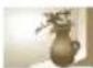 INVENTUM SH100 - Capturing photos of text, insects, or flowers - 1