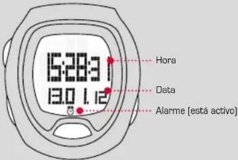 SIGMA SC 6.12 - 21
