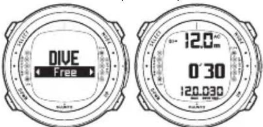 DIVE Free 12.0 0'30 120.030