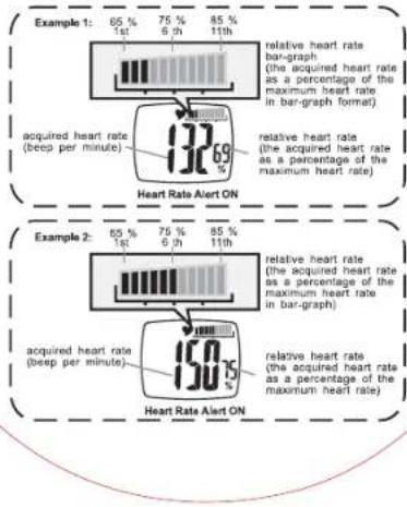 TFA HiTrax Tip - Relative Heart Rate Bar Graph - 1