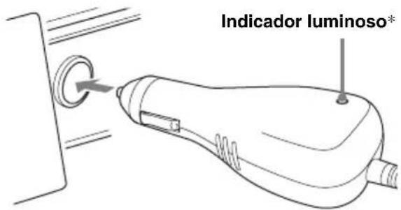 Indicador luminoso*
