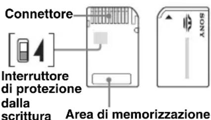 Connettore [1 4] Interruttore di protezione dalla scrittura Area di memorizzazione