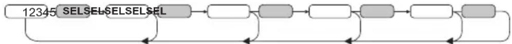 graph LR A["12345"] --> B["SELSELSELSEL"] B --> C[" "] C --> D[" "] D --> E[" "] E --> F[" "] F --> G[" "]