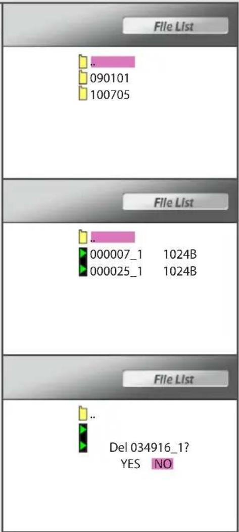 File List 090101 100705 File List 000007_1 1024B 000025_1 1024B File List Del 034916_1? YES NO
