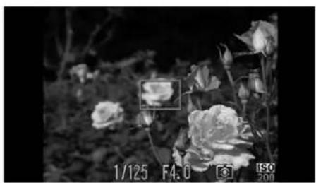 CANON Ixus 1100 HS - Changing the Composition with the Focus Lock - 2