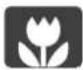 CANON Ixus 1100 HS - Scene Icons - 32