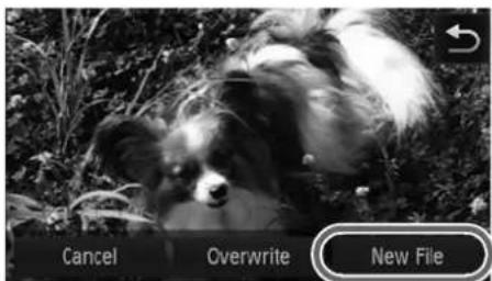 Cancel Overwrite New File