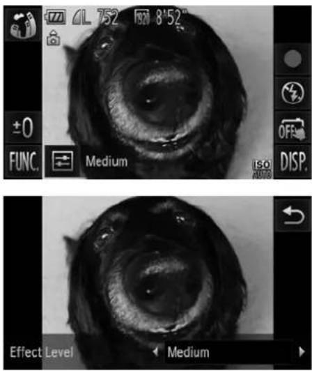 7L 752 ISO 8°52 ±0 FUNC. Medium Iso ISO DISP. Effect Level Medium