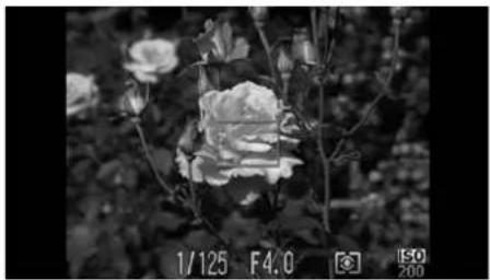 CANON Ixus 1100 HS - Changing the Composition with the Focus Lock - 1