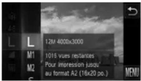12M 4000x3000 1015 vues restances Pour impression jusqu'au format A2 (16x20 po.) MENU