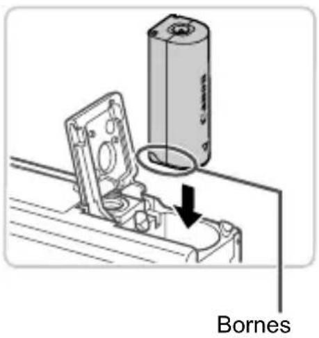 Bornes