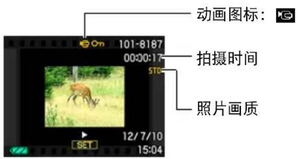 动画图标: 101-8187 00:00:17 STO 拍摄时间 照片画质 12/7/10 SET 15:04