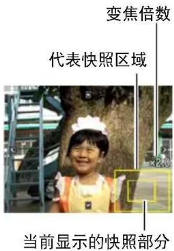 变焦倍数 代表快照区域 当前显示的快照部分