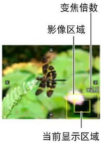 变焦倍数 影像区域 ×2.0 当前显示区域