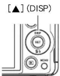 [▲] (DISP) DRP NET $1 E MOM