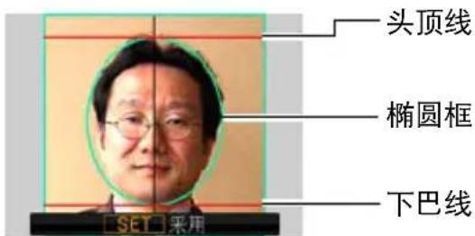 头顶线 椭圆框 下巴线 SET 采用