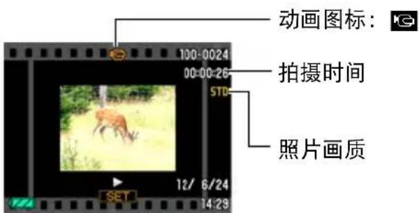 动画图标： 100:0024 00:00:26 STD 拍摄时间 照片画质 SET 12/ 6/24 14:29