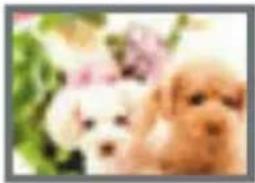 CASIO Exilim EX-H35 - 影像尺寸选择诀窍 - 2