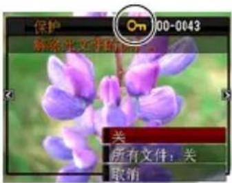 CASIO Exilim EX-H35 - 步骤 - 1