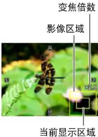 变焦倍数 影像区域 当前显示区域