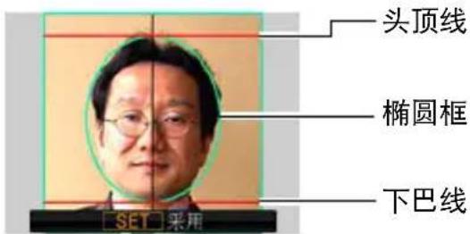 头顶线 椭圆框 下巴线 SET 采用