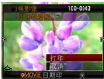 1幅影像 100-0043 打印预览器 打印 取消 ©MOVE 日期印 关