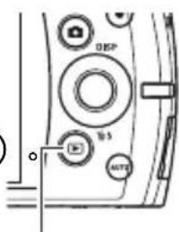 DISP B3 AUTO