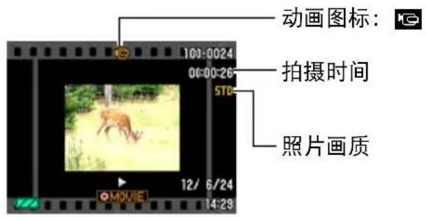 动画图标: 100:00:24 00:00:26 STD 拍摄时间 照片画质 12/ 6/24 14:29 MOVIE