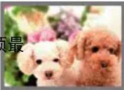 CASIO Exilim EX-S300 - 影像尺寸选择诀窍 - 1