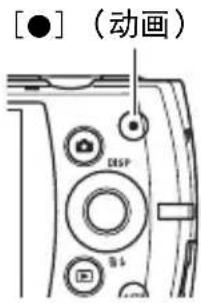 [●]（动画） DSP B4