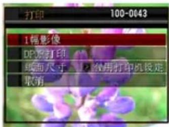 打印 100-0043 1幅影像 DP50打印 纸面尺寸 20%使用打印机设定 取消