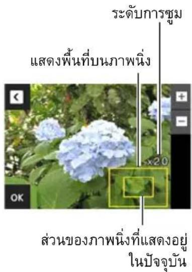ระดับการซุม แสดงพื้นที่บนภาพนิ่ง x20 อ ส่วนของภาพนิ่งที่แสดงอยู่ ในปัจจุบัน
