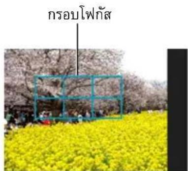 กรอบโพกัส