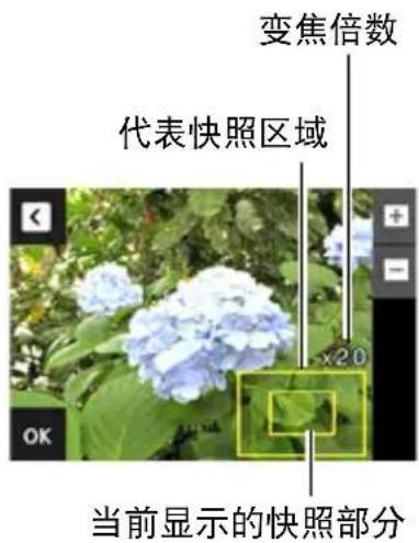 变焦倍数 代表快照区域 当前显示的快照部分