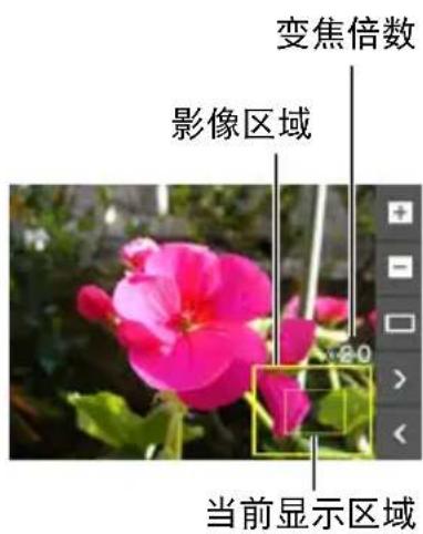 变焦倍数 影像区域 当前显示区域