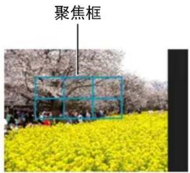 聚焦框