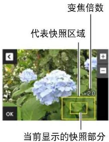 变焦倍数 代表快照区域 x20 当前显示的快照部分